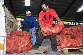  MIDES entrega insumos avícolas y agrícolas a 1,926 familias para que realicen proyectos de emprendimientos