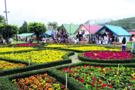  Inicia jornada de vacunación con AstraZeneca en la Feria de las Flores y del Café, en Boquete