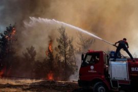  Turquía pide ayuda a la Unión Europea para controlar los incendios que ya han dejado ocho muertos