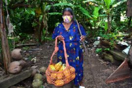  Cecilia Santos, la abuela de 73 años que desarrolla su emprendimiento entre matas de cacao