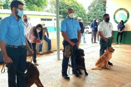  Manejadores caninos para detección de plagas y enfermedades de República Dominicana y Belice son entrenados en Panamá