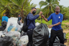 Recolectan más de mil libras de desechos en playa Puerto Pava de Colón