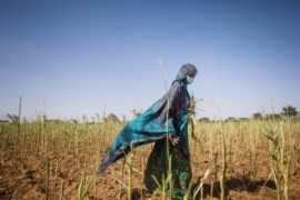  Encuentro Regional de Cambio Climático e Igualdad de Género define hoja de ruta para acelerar acción climática con igualdad de género en América Latina y el Caribe