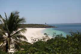  MiAMBIENTE aclara las pautas para visitar el Refugio de Vida Silvestre Isla Iguana
