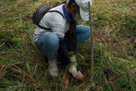  Restauran toma de agua en Burunga de Arraiján