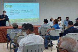  Presentan diagnóstico de parcelas de arroz en Chiriquí