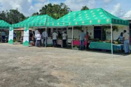  Productores de agricultura familiar de Panamá Oeste recibieron equipos para instalar mercados locales