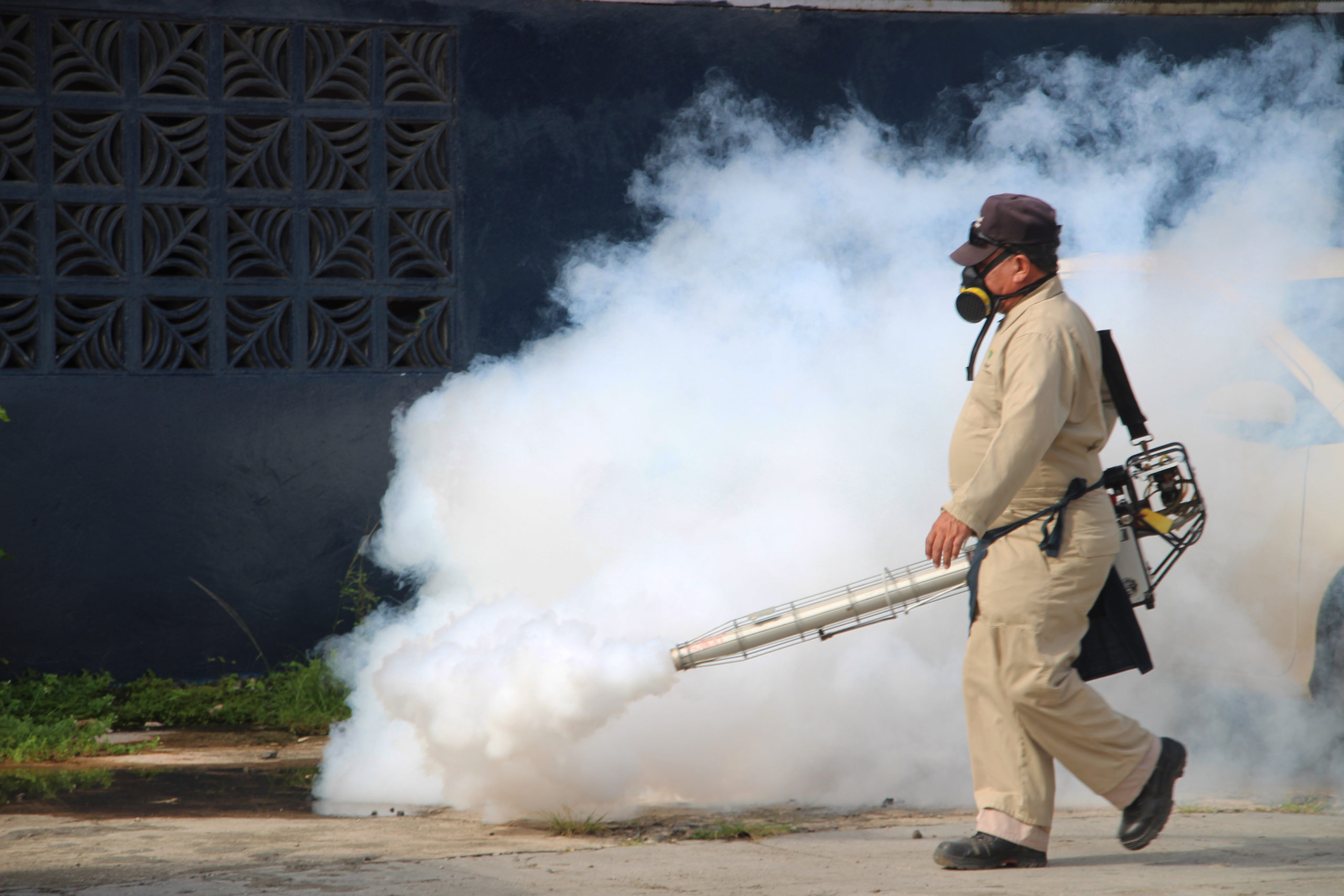  Se han confirmado 923 casos de dengue en todo el país