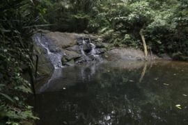  El sendero de El Charco en el Parque Nacional Soberanía permanecerá cerrado durante 3 meses