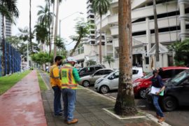  MiAMBIENTE aprueba trabajos de poda y tala de palmas en el parque Urracá ante riesgos