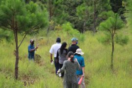  Representantes de la Unión Europea visitan proyecto Forestal en El Pedregoso de Santa Fe