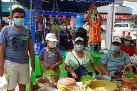  MiAMBIENTE realiza feria ambiental en el Parque Porras de Las Tablas