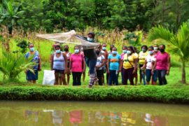  Las Escuelas Campos, un lugar donde las mujeres rurales están aprendiendo a sembrar, cosechar y algo más