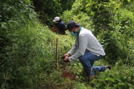  El reto de Panamá: Mantenerse en la carbono negatividad