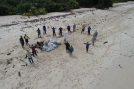  Panamá será sede en el 2023 de la conferencia mundial “Our Oceans”