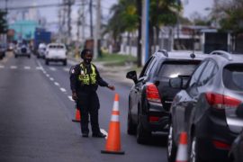  Extienden vigencia de licencias de conducir y suspensión de sanciones por placa vencida