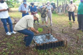  Realizan taller teórico práctico de producción de vivero forestal en Pedasí