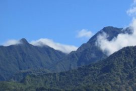  Realizan mejoras a los senderos del Parque Nacional Volcán Barú