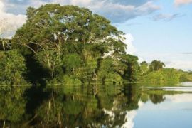  Perú impulsará el crecimiento sostenible de la Amazonía con apoyo del BID