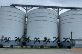  Inauguran tres modernos silos para el almacenamiento de arroz en Chepo