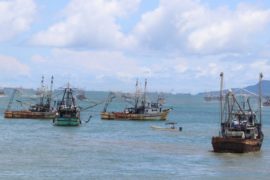  Finaliza segunda veda del camarón, 102 barcos zarpan desde el Puerto de Vacamonte