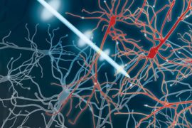  Estimulación cerebral profunda para tratar el Parkinson