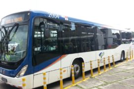  MiBus anuncia transporte gratuito para los usuarios que van al partido contra Estados Unidos