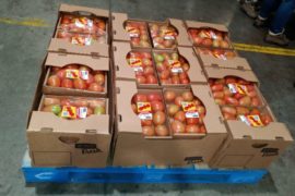  Aprueban importación de 1,200 toneladas de pulpa de tomate