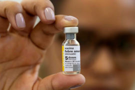  La OMS informa de un brote de fiebre amarilla en Venezuela y recomienda la vacunación