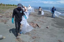  Recolectan 500 libras de desechos en playa Soropta de Bocas del Toro