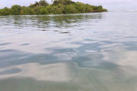  Autoridades atienden denuncia por contaminación en playa Samba Bonita en Cativá Colón