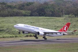  Turkish Airlines aumentará a una frecuencia diaria sus vuelos desde y hacia Panamá