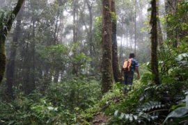  MiAMBIENTE Coclé cierra áreas protegidas ante mal tiempo