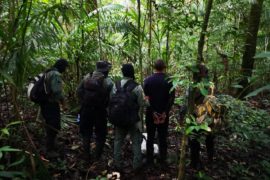  Hombre fue aprehendido por cacería ilegal en Burunga de Arraijan