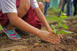  MiAMBIENTE realizará el primer congreso científico e histórico sobre la gestión ambiental panameña en el marco del Bicentenario