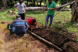  En Breñón impulsan la creación del primer vivero forestal