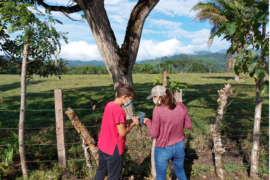  Panameños realizan importante estudio en materia climática