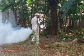  ¡Preocupante! Casos de dengue en Chiriquí superan años anteriores