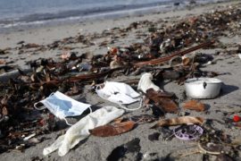  Mascarillas incrementan contaminación y perjudican a la fauna marina