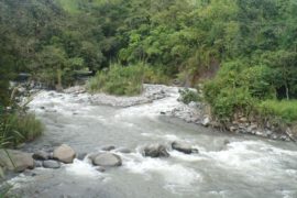 Por primera vez evalúan la huella hídrica de la Cuenca Hidrográfica río Chiriquí Viejo