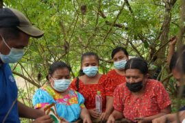  Las mujeres indígenas Naso de Panamá lideran el cambio en sus comunidades durante la pandemia