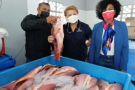  Pescadores en Barú exportan pescado a EE.UU