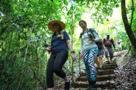  Periodistas de Inglaterra y Francia impresionadas con la cultura y biodiversidad de Panamá