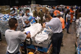  Gobierno Nacional anuncia compra de 5 mil cerdos para Programa Panamá Solidario