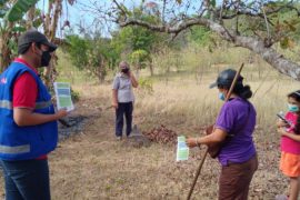  Minsa en Herrera confirma primera defunción por hantavirus en 2022