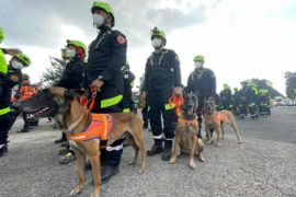  Unidad Canina del SINAPROC participará en Congreso Centroamericano de Perros de Búsqueda y Rescate