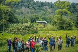  Más de 4 mil habitantes de Valle Riscó en Bocas Del Toro se han beneficiado con los programas de educación ambiental de MiAMBIENTE