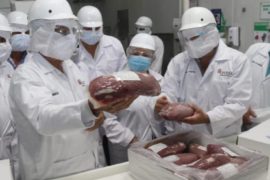  Panamá continúa esfuerzos para cumplir requisitos para exportar carne a EE.UU