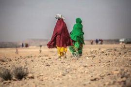  Más de 40 ONG advierten de una catástrofe humanitaria en Somalia por la peor sequía en 40 años