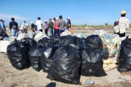 Voluntarios recolectan 40 bolsas con desechos en playa la Barqueta Agrícola